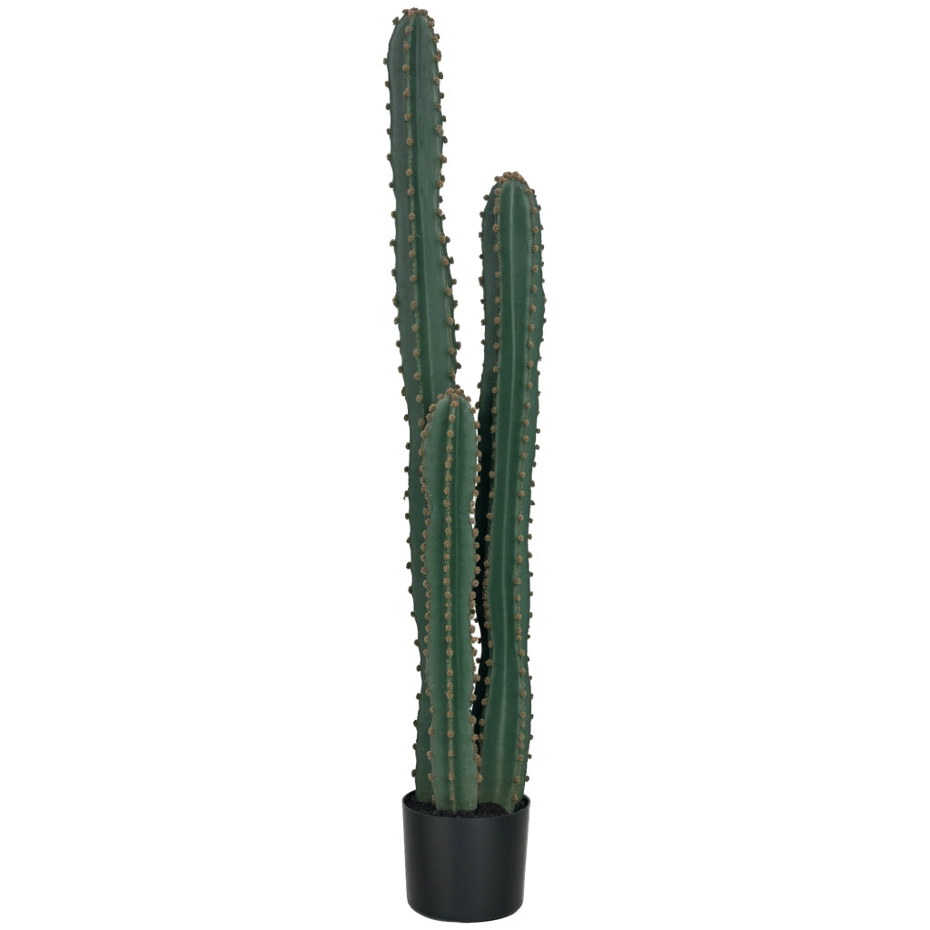 Pianta artificiale grande realistica cactus decorativo per giardino ¨C Minimal ¨C verde ?18x120 cm