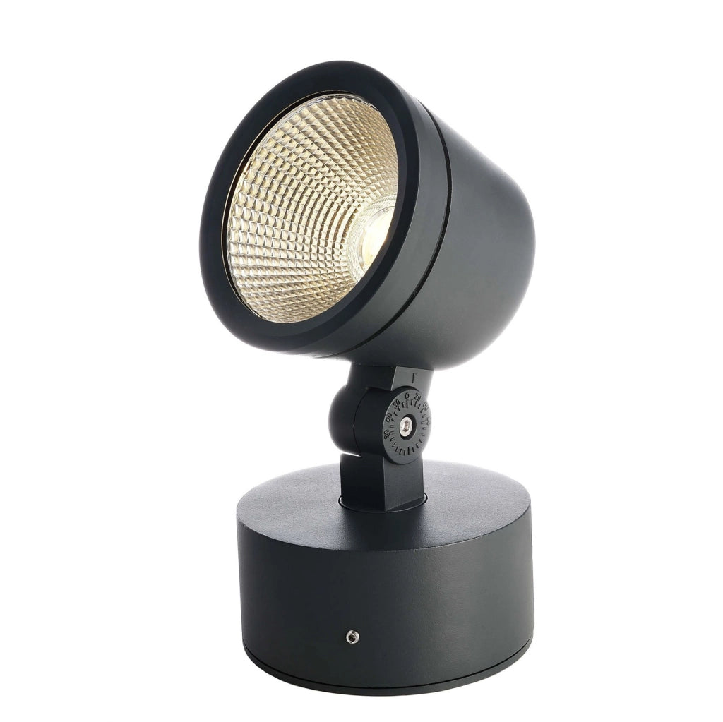 COLT faro LED 15W faretto IP65 dimmerabile orientabile luce SPOT illuminazione facciate alberi giardino insegne 230V