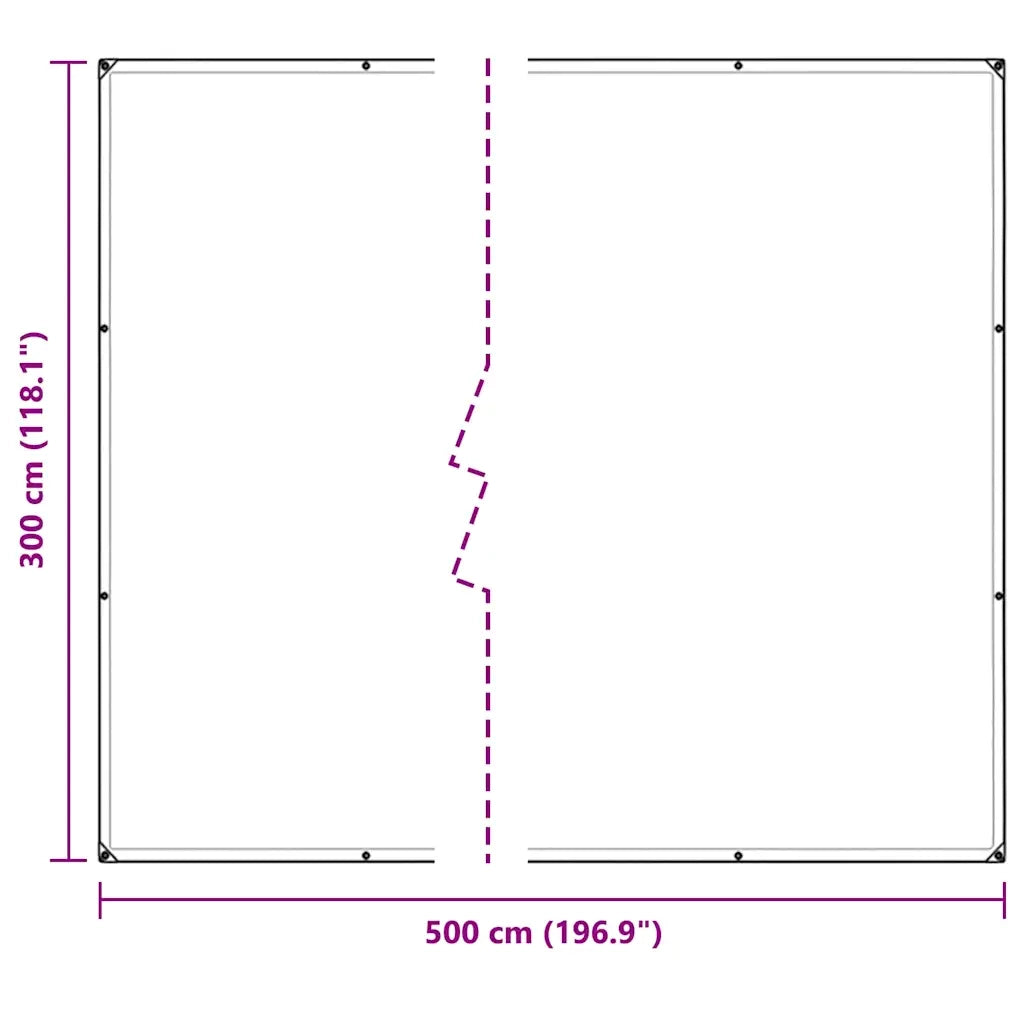 Telone Trasparente con Occhielli 3x5 m in Polietilene 4018513