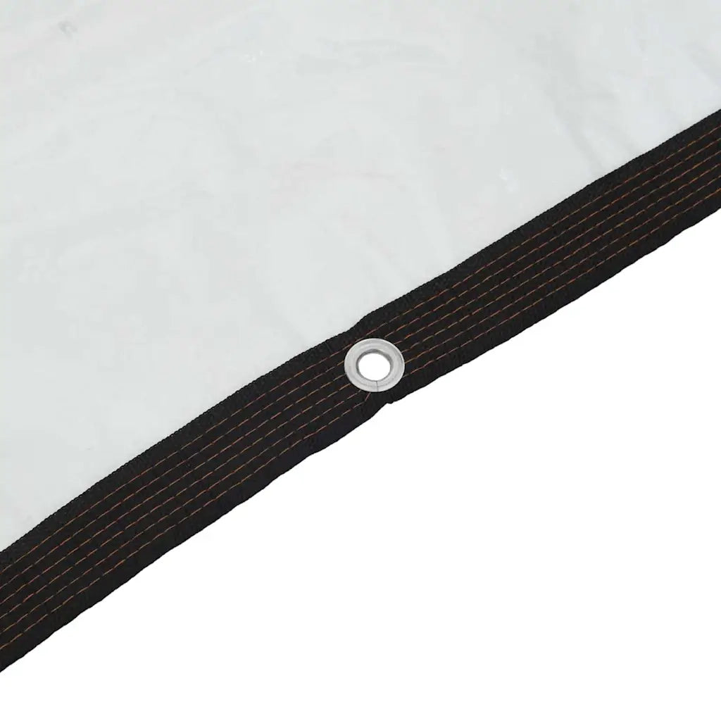 Telone Trasparente con Occhielli 5x8 m in Polietilene 4018570
