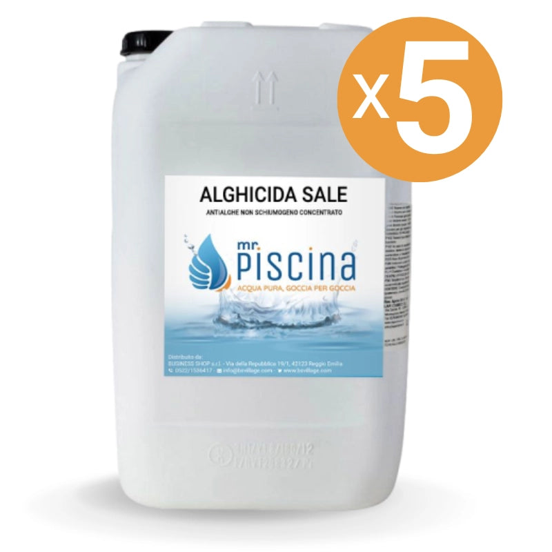Antialghe piscina ALGHICIDA SALE - Concentrato non schiumogeno Quantità confezione: 5 confezioni