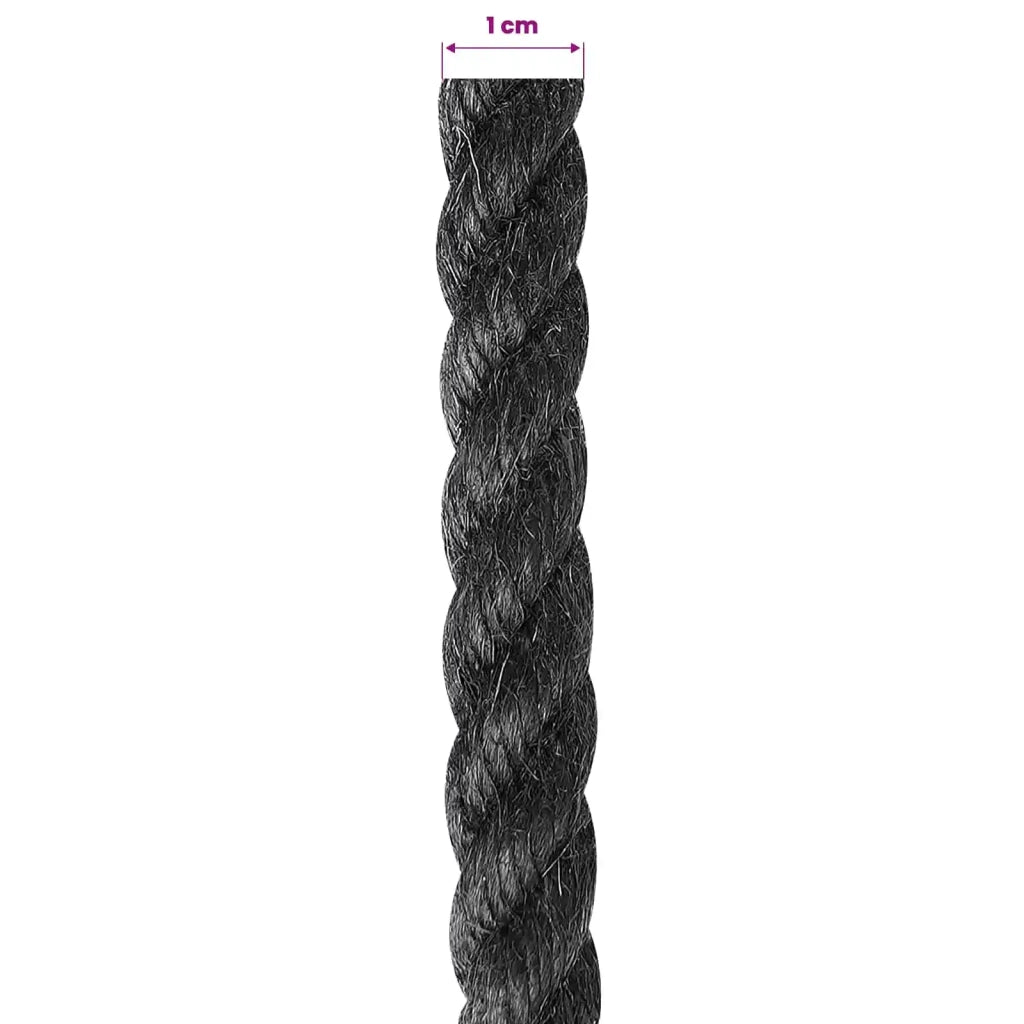Corda di Juta 10 Nero 100% juta Tossa 42011613
