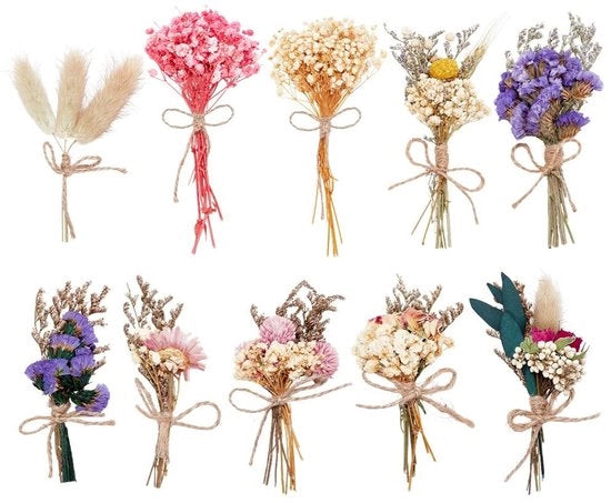 Fiori Secchi 10 Pezzi - Mini Fioriera di Fiori Secchi - Fiori Artificiale - Decorazioni per Vaso - Festa di Matrimonio/Estivo - Dimensioni 10,5-19,5 cm - Fioriera di Fiori Secchi
