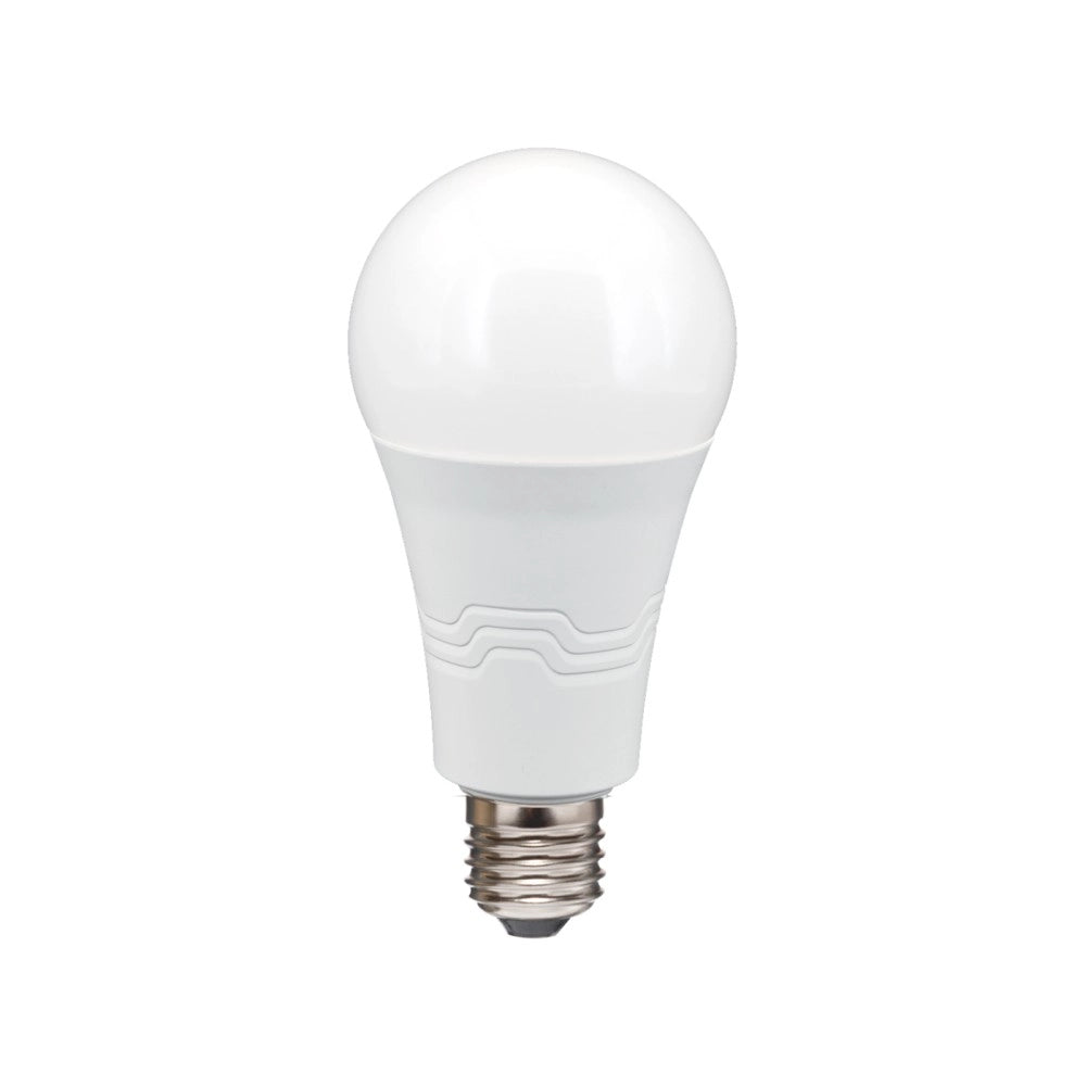 Alca power a65 19w 175-250v 2200lm 6000k e27 lampada classica a led