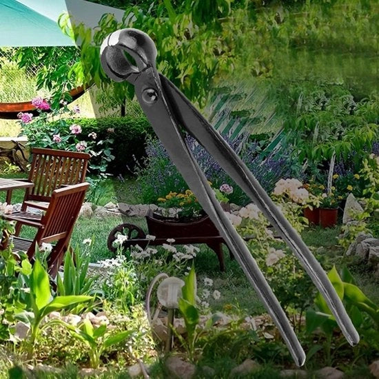 Attrezio per bonsai - taglia rami - manico ergonomico - lama in acciaio inossidabile - taglio preciso - adatto per bonsai - modello verde 

Modello: 
Specifica tecnica: 
Codice prodotto: