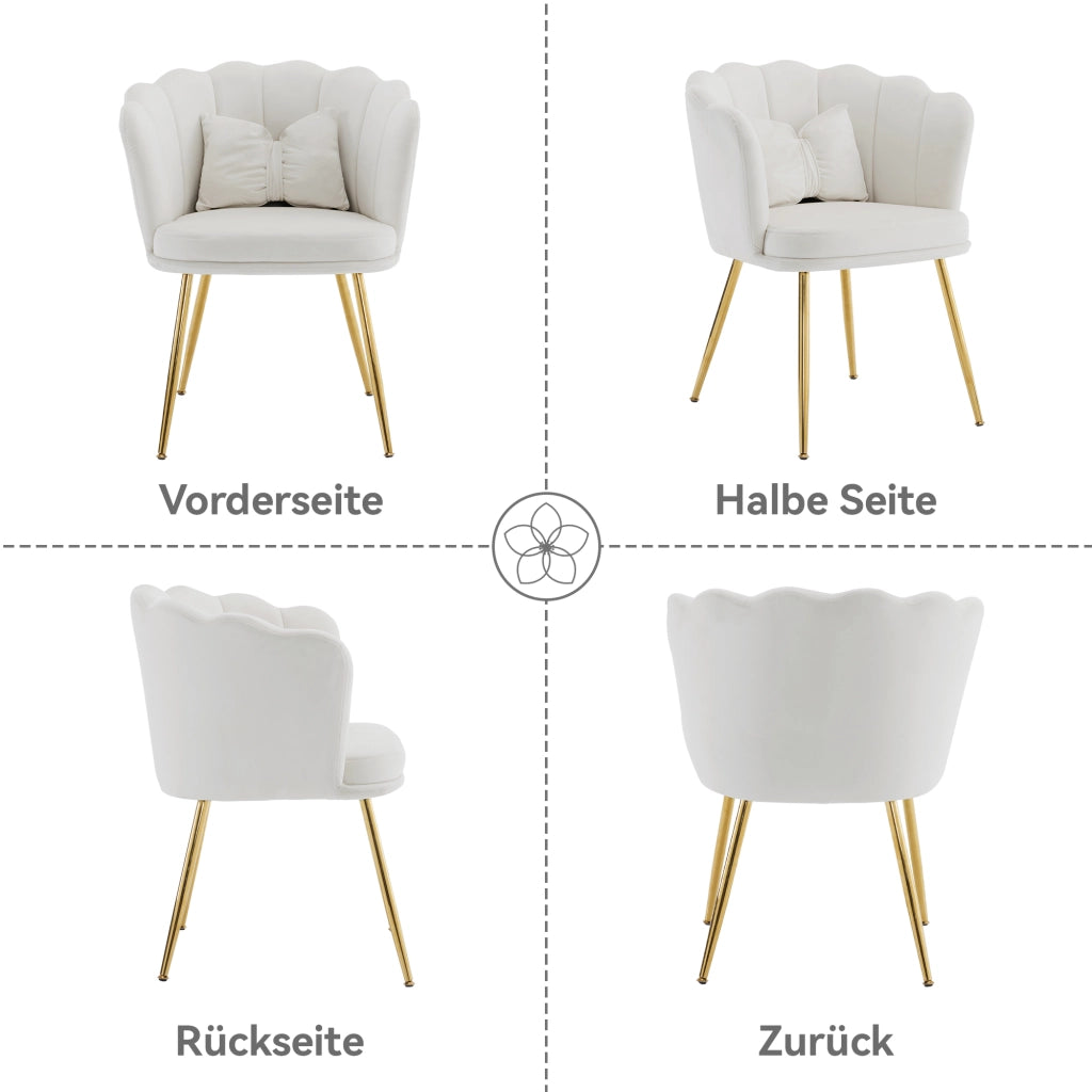 Sedie da soggiorno imbottite, 6 pezzi in velluto beige con schienale a petalo e gambe in metallo dorato