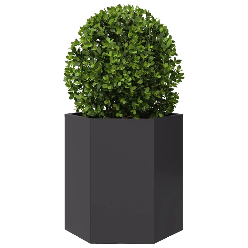Fioriera da Giardino-Vaso da Esterno-Contenitore per Piante Nera Esagono 46x40x45 cm in Acciaio