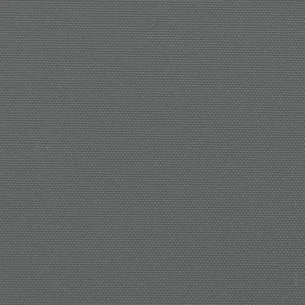 Tenda da Sole | Tenda parasole laterale retrattile antracite 160x300 cm