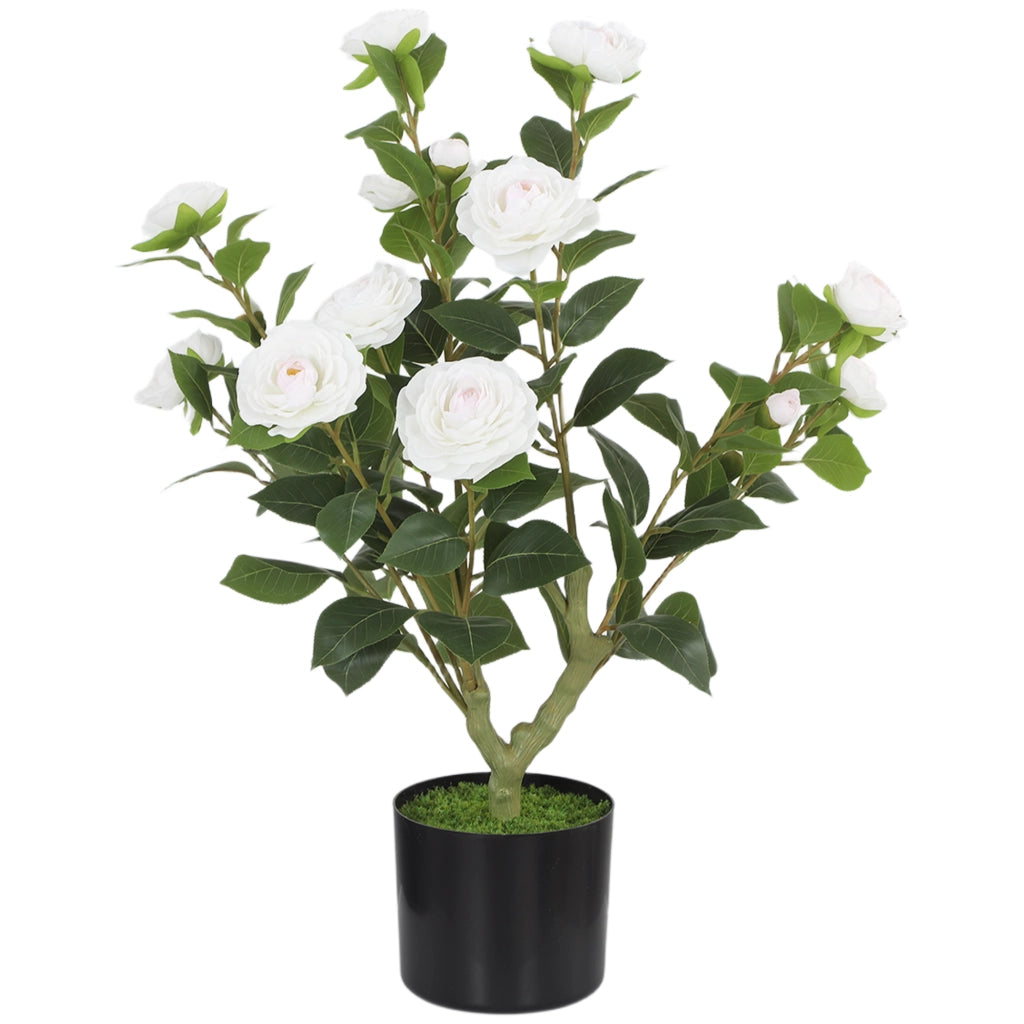 Pianta Artificiale di Camelia 65cm ¨C Xylo ¨C Fiori Seta Realistici 116 Foglie Effetto Musgo Bianco