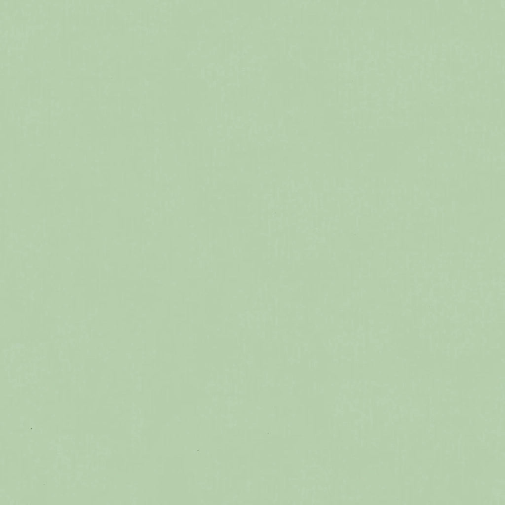 Fioriera | Cassetta per fiori | Vaso Verde Pastello 480 x 100 x 45 cm Acciaio zincato