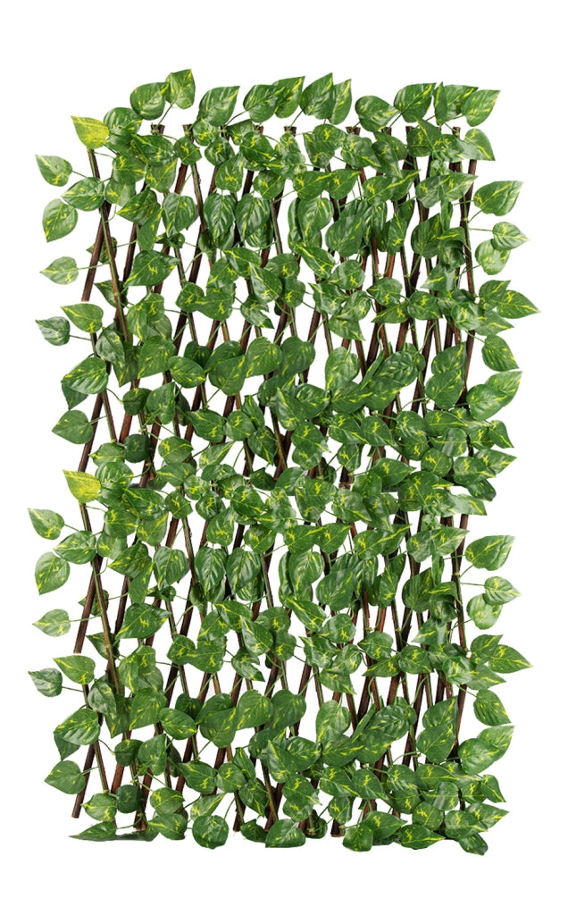 Siepe Artificiale Legno Salice Naturale Con Foglie Edera Finta Traliccio Estensibile 1 x 2 Mt Divisorio Ringhiera Frangivento Frangivista
