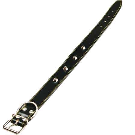 COLLARE PER CANI FODERATO CON BORCHIE 25x510 mm