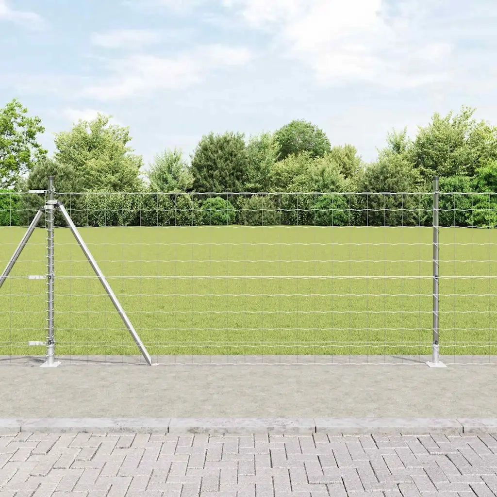 Recinzione da Giardino | Recinzione con Posto Argento 1 x 25 m Acciaio
