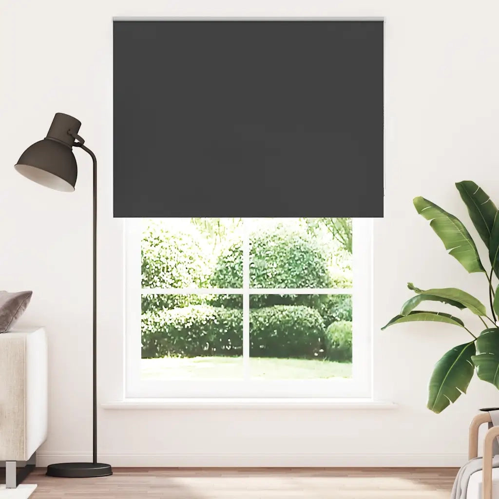 Tenda a rullo | Tenda avvolgibile Oscurante 165x210 cm Larghezza Tessuto 161,6 cm
