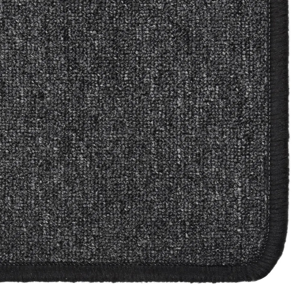 Tappeto del soggiorno | Tappeto Corsia Antracite 80x150 cm