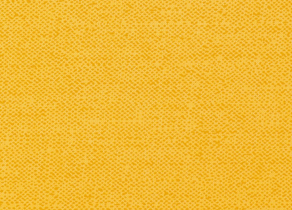 Set Cuscini Coprisedia Imbottiti Sfoderabili Modello Panama Made In Italy - Aletta 6Pz - Oro