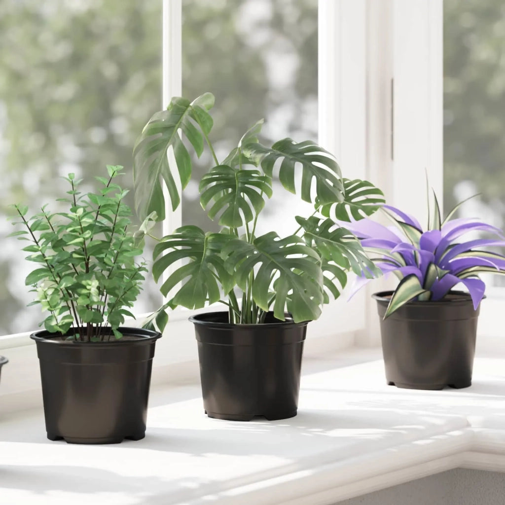 Fioriere | Cassetta per fiori | Vaso Rotondo per Fiori 100 pz Nero ? 10 x 8 cm Plastica