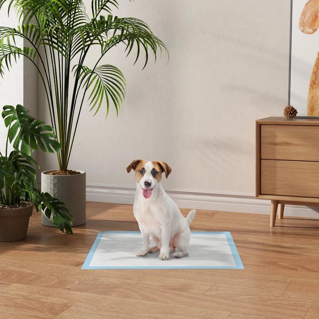 Tappetini Assorbenti per Cani ¨C zephmum ¨C Blu 45x60 cm 100 Unit¨¤
