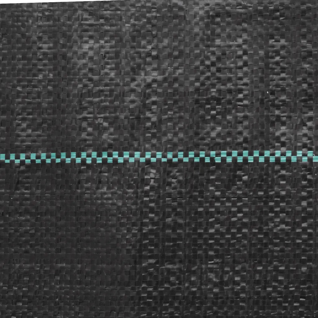 Membrana Antierbacce Nera 1x150 m in PP 4005148