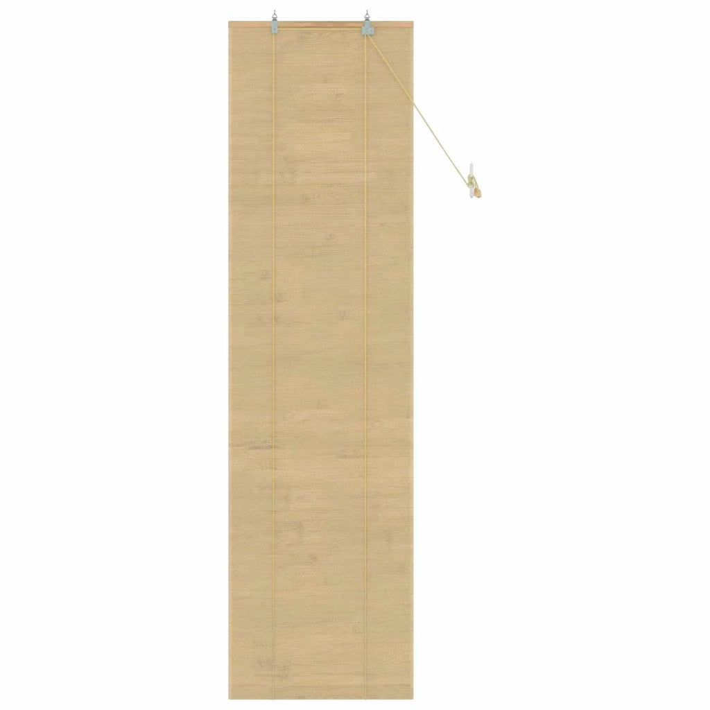 Tenda a rullo Naturale 60 x 220 cm Bambù 42040574