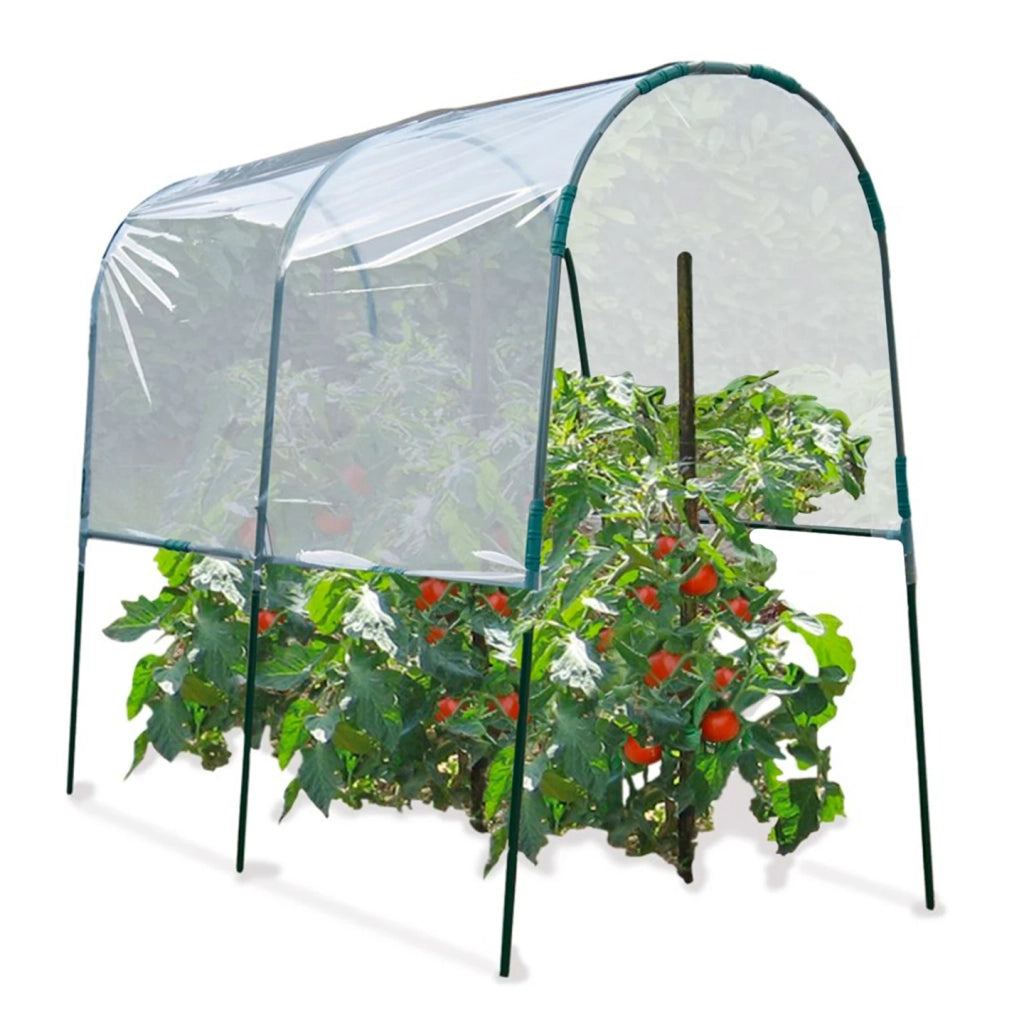 ProBache - Serra da giardino per pomodori 200 x 120 x 170 cm con telo trasparente + archi in acciaio
