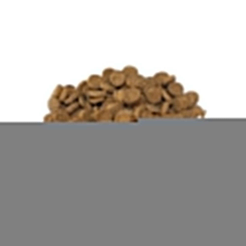 Prodac Pro Wafers 250ml/135gr - Alimento completo per pesci da fondo
