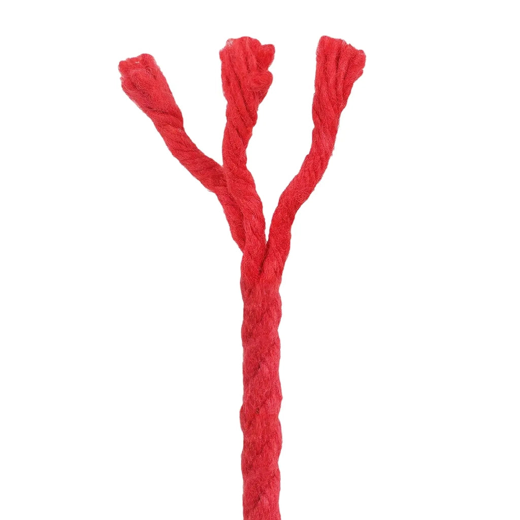 Corda Rosso 0,4 x 0,4 x 50000 cm Cotone 42011896