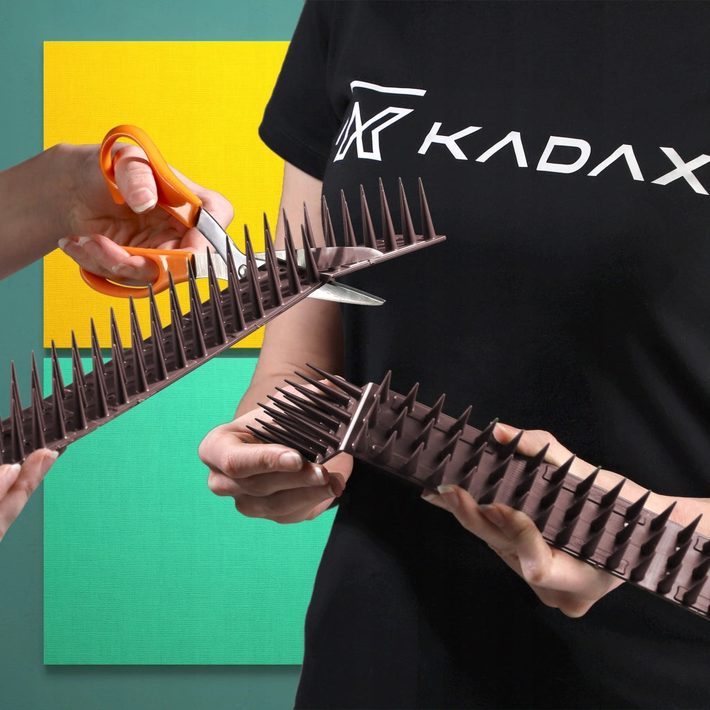 KADAX Punte dissuasive per uccelli e piccioni, striscia di plastica resistente e densa da 51 cm.
