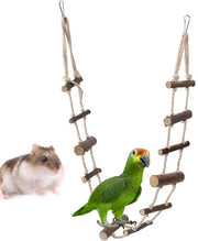 Attrezzatura di gioco per animali domestici - Scala a corda per hamsters e uccelli - Corda per arrampicata e oscillatore per uccelli - 100 cm