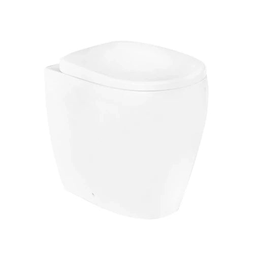 VASO AZALEA filomuro Rimless LINPH H49 cm
