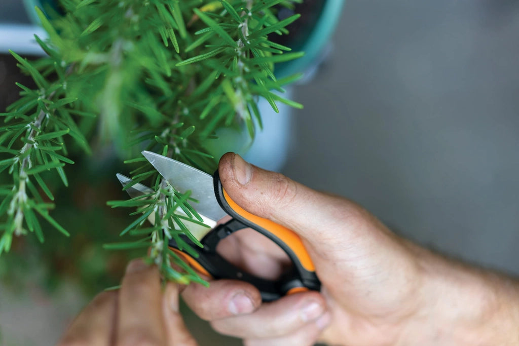 Forbici per Erbe Aromatiche Solid SP220 Fiskars 13 cm