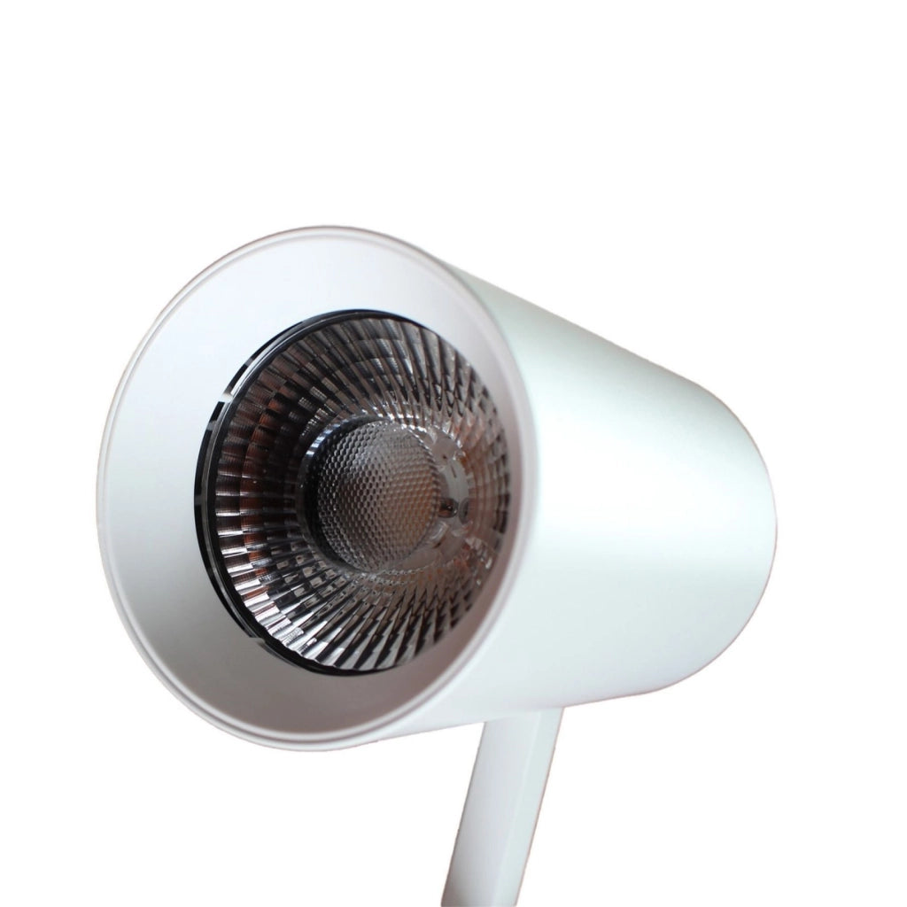 2 Pezzi Faro Bianco Mono Fase 30W 3000K
