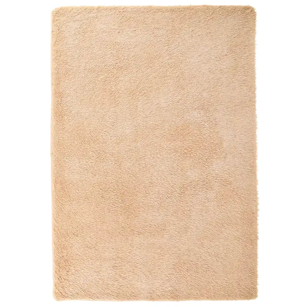 Tappeto del soggiorno | Tappeto Shaggy a Pelo Lungo NAVARRA Beige 120x170 cm poliestere