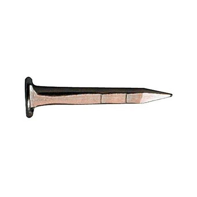 Semenze Acciaio 2 Leoni Tp Gambo Quadro Kg. 1 mm. 12