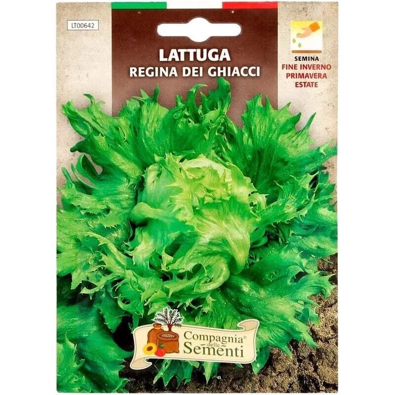 BUSTA ORTO LATTUGA REGINA DEI GHIACCI