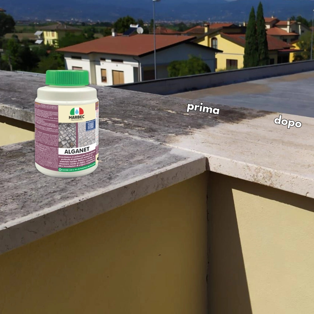 Pulizia pavimenti esterni ALGANET   4KG