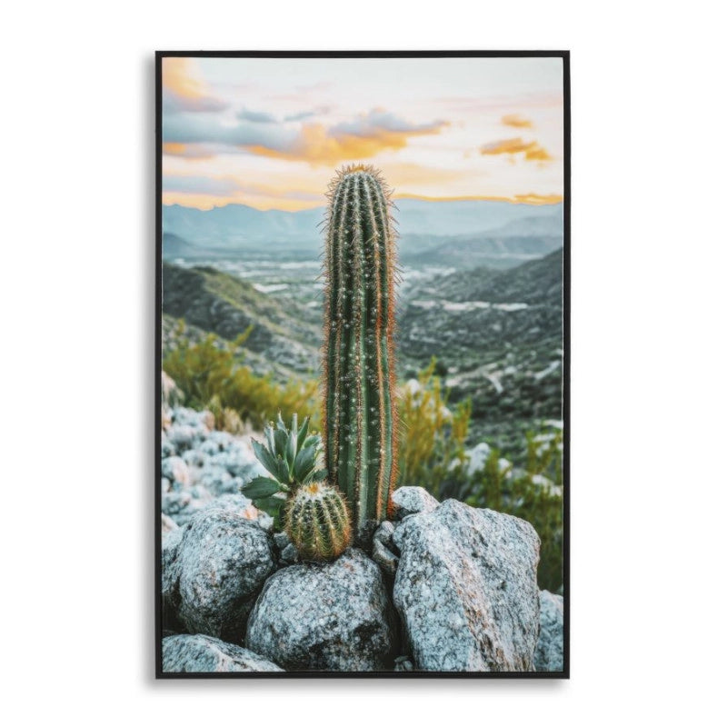 Stampa Su Tela Laccata Con Cornice Cactus -a- cm 60x4x90