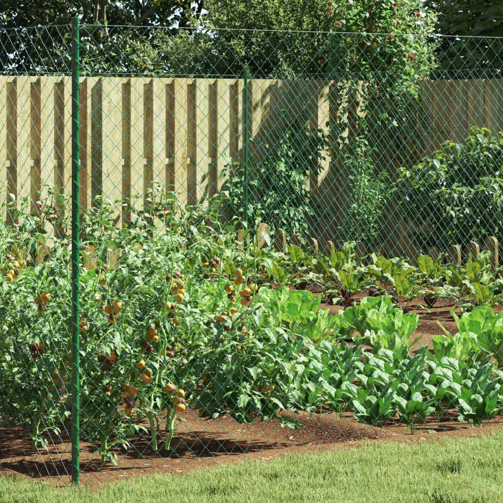Recinzione a rete metallica Verde 2 x 20 m Acciaio CFW6825120
