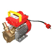 POMPA DA TRAVASO ROVER- Hp 0,8 - 550 W - Racc. 25- FF- pezzi 1