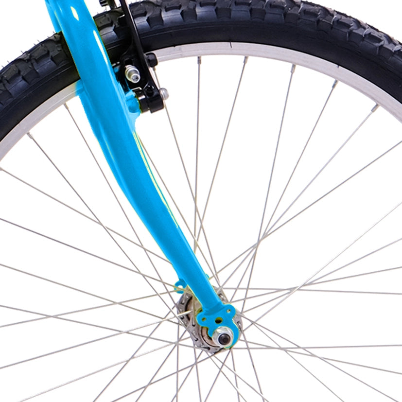 F.LLI SCHIANO MTB 24 Uomo 18v azzurra