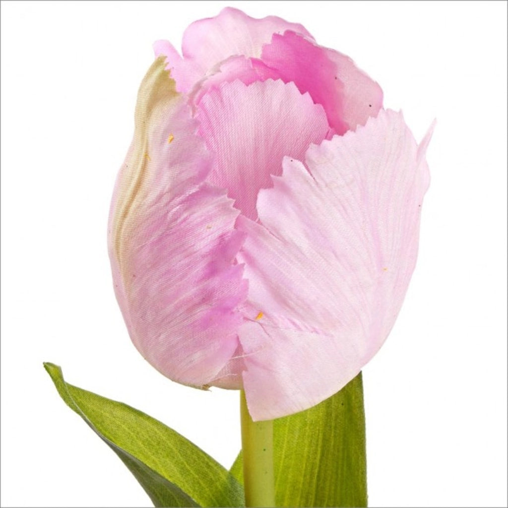 Tulipano rosa chiaro si 42 cm
