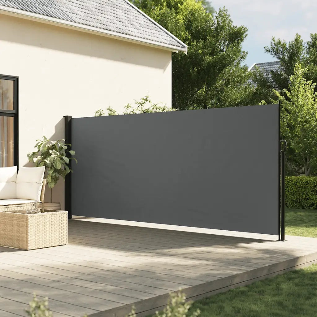 Tenda da Sole | Tenda parasole laterale retrattile antracite 160x300 cm