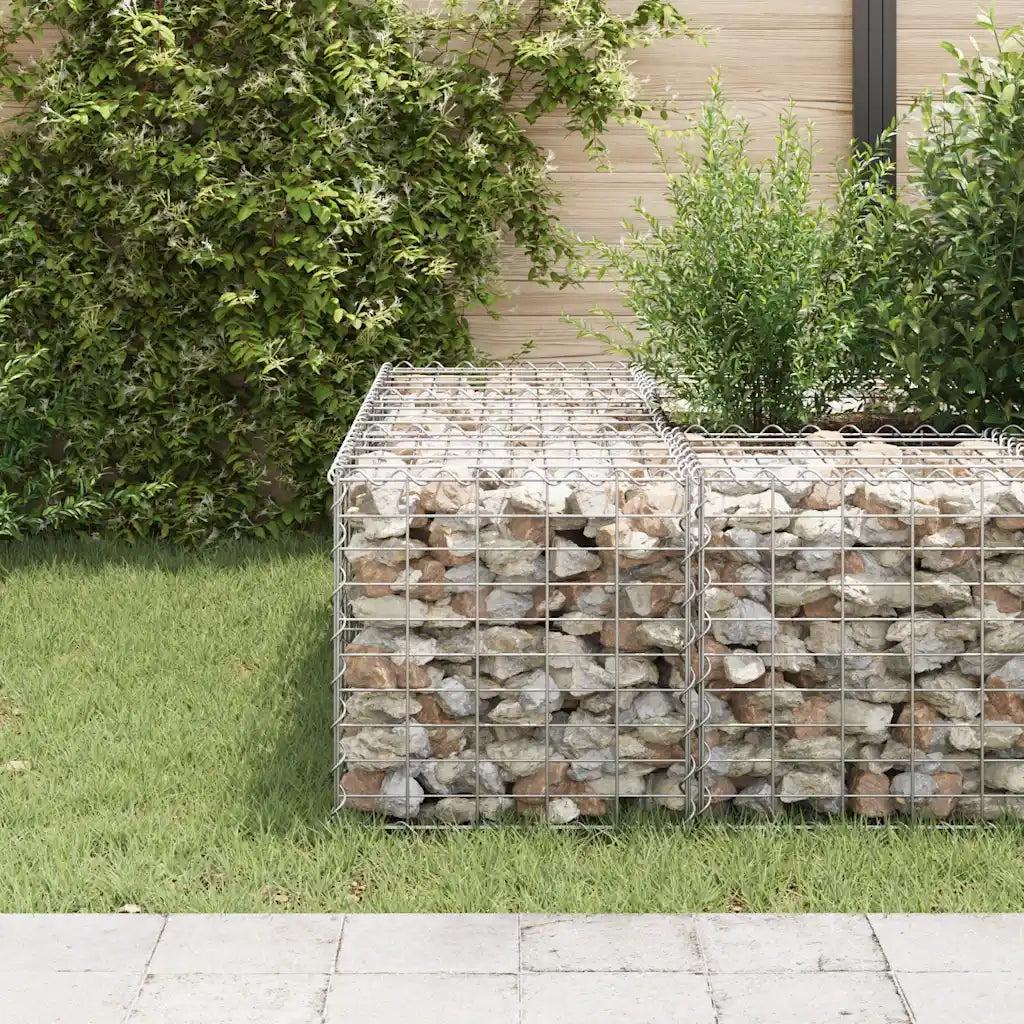 Gabbione Fioriere | Cassetta per fiori | Letto Rialzato a Cubo in Filo di Acciaio 50x50x50 cm