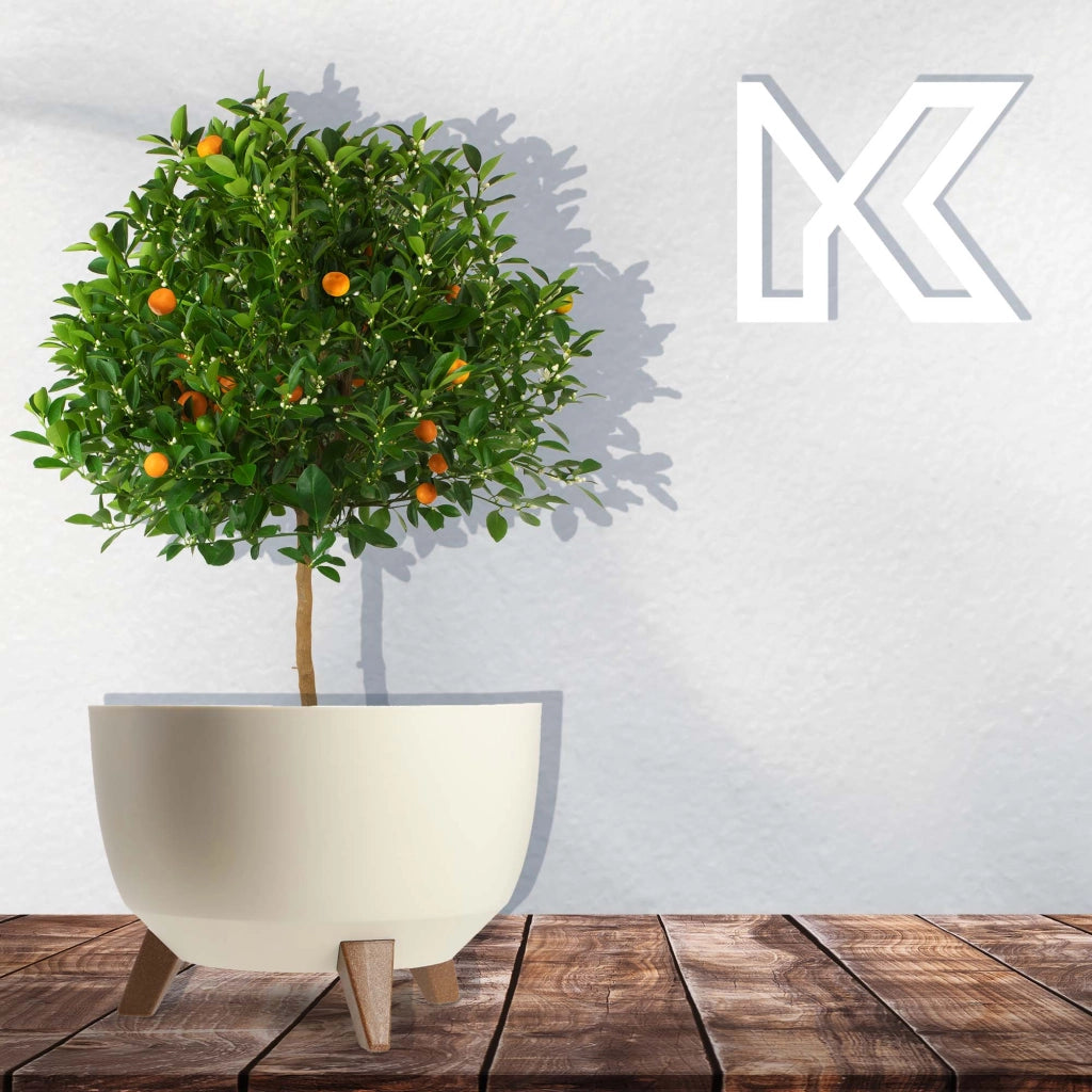 Vaso da fiori KADAX, fioriera, coperchio, gambe, inserto, supporto per fiori, 33 cm, crema, ciotola rotonda