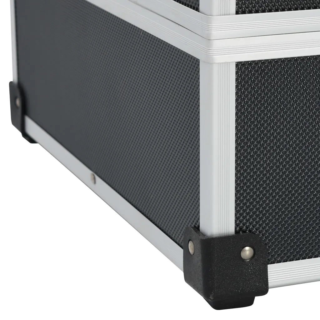 Valigetta per Attrezzi 46x33x16 cm Nera in Alluminio 91847