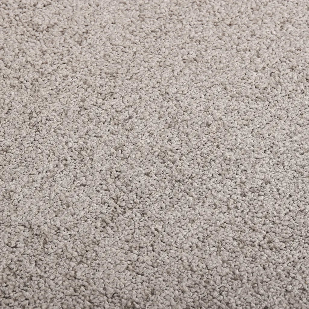 Zerbino | Tappetino Grigio 60x80 cm