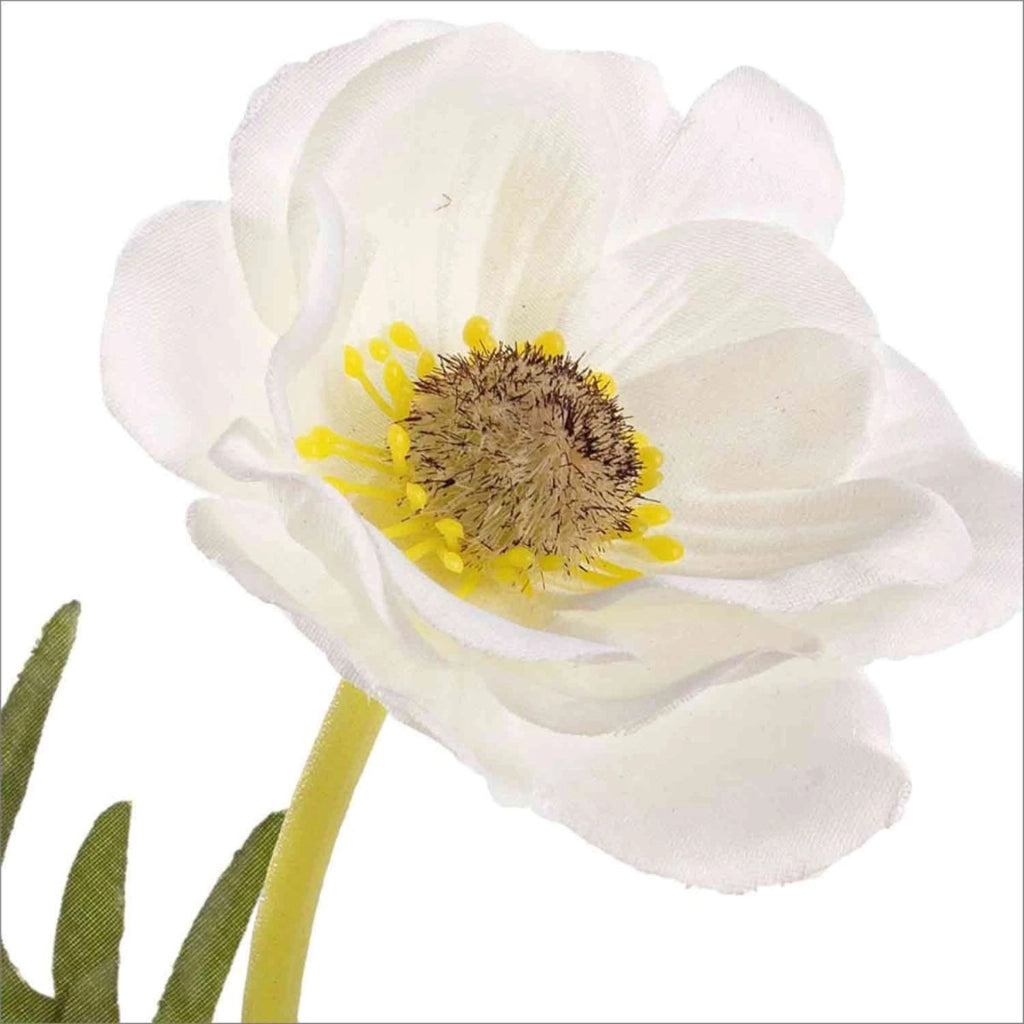 Anemone bianco 30cm
