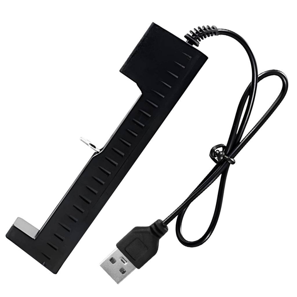 Caricatore universale per batterie cilindriche USB 2A con indicatore 4,2V Nero Avizar