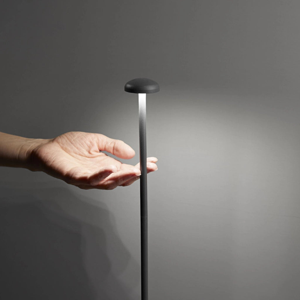 PALETTO DA GIARDINO LED DC24V PUCK ANTRACITE 3W 360LM 3000K IP65 4,2X60CM INCLUSI CAVI 300CM
