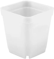 Piantine in Vaso Mini 20 Unita - Contenitori in Plastica - Disegno Geometrico - Per Interno/Esterno - Decorazione Stilizzata - Vasi per Fiori
